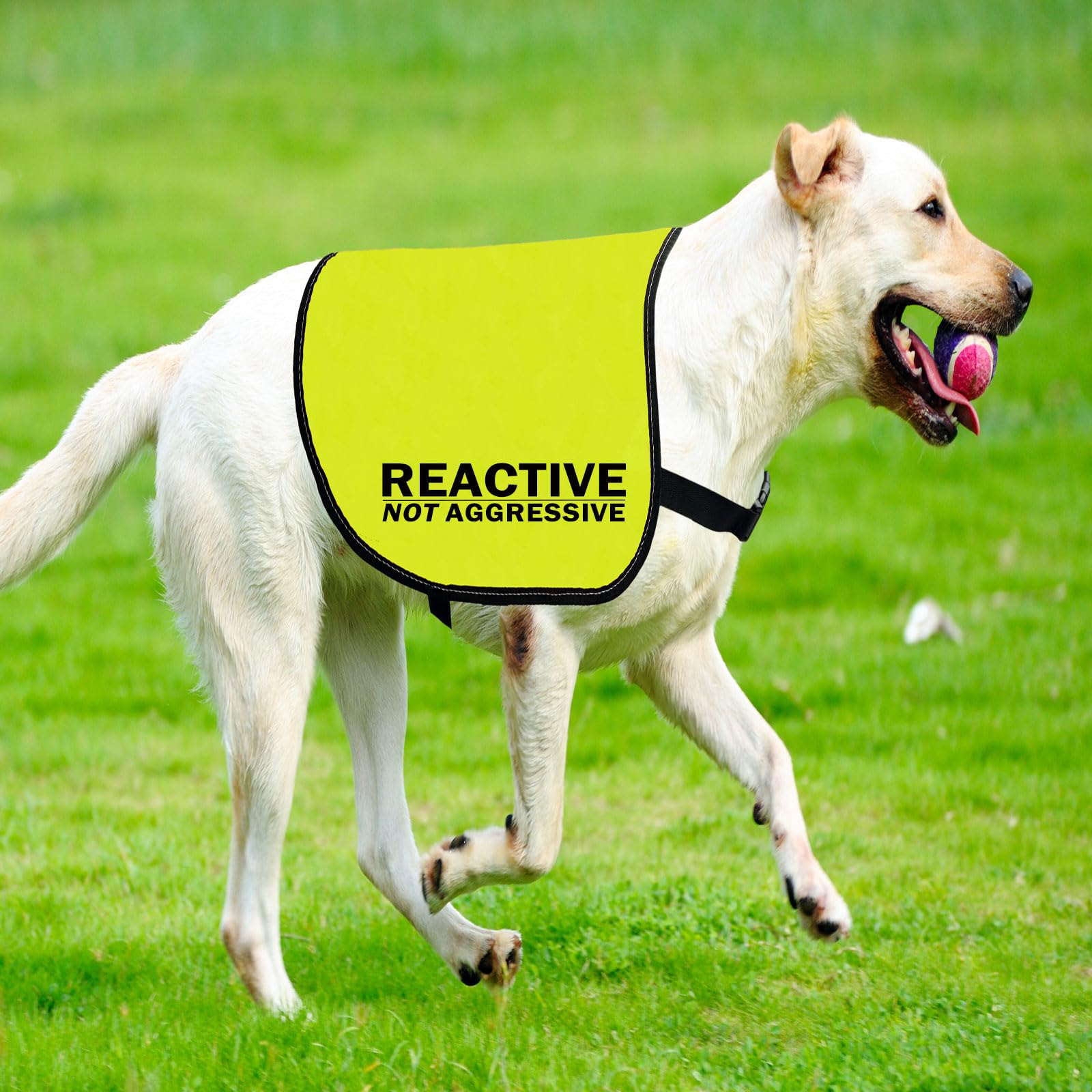 Cenwa Reactive Dog Jacket Vest - Not Aggressive Slogan Service Dog