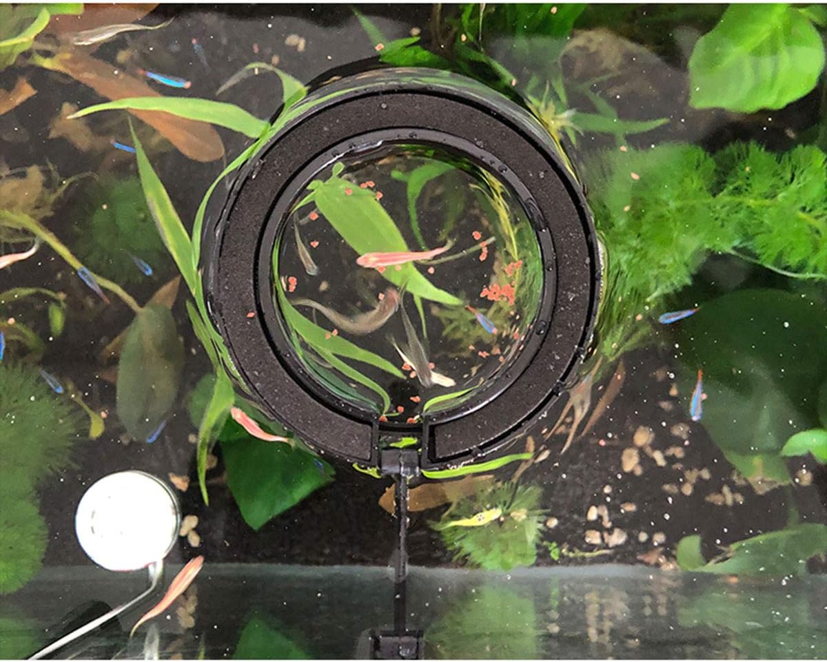 E-outstanding 2pcs Fish Feeding Ring Tropical Fish Food Ring Aquarium Fish Tank Accessories Water Plant Buoyancy Suction Cup (1 x Round Shape and 1 x Square Shape), Black image 4
