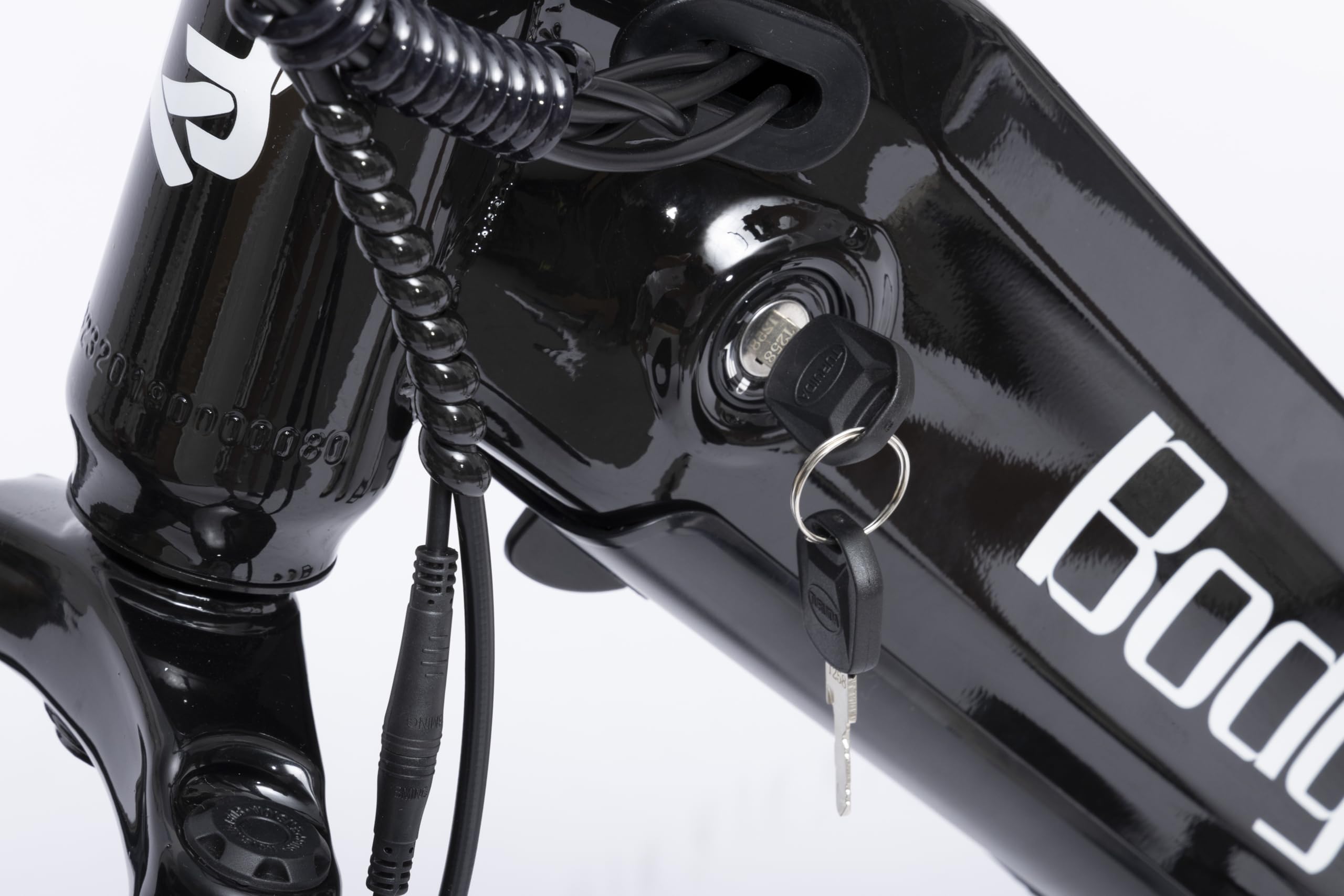 Bodywel F20 E-Bike Adulto 48V 15Ah Batteria 250W Motore 25 km/h, Bici Elettrica Fatbike 20 Pollici per Uomo e Donna, 7 Velocità, Display Smart APP, Freni a Disco 180mm, Portapacchi