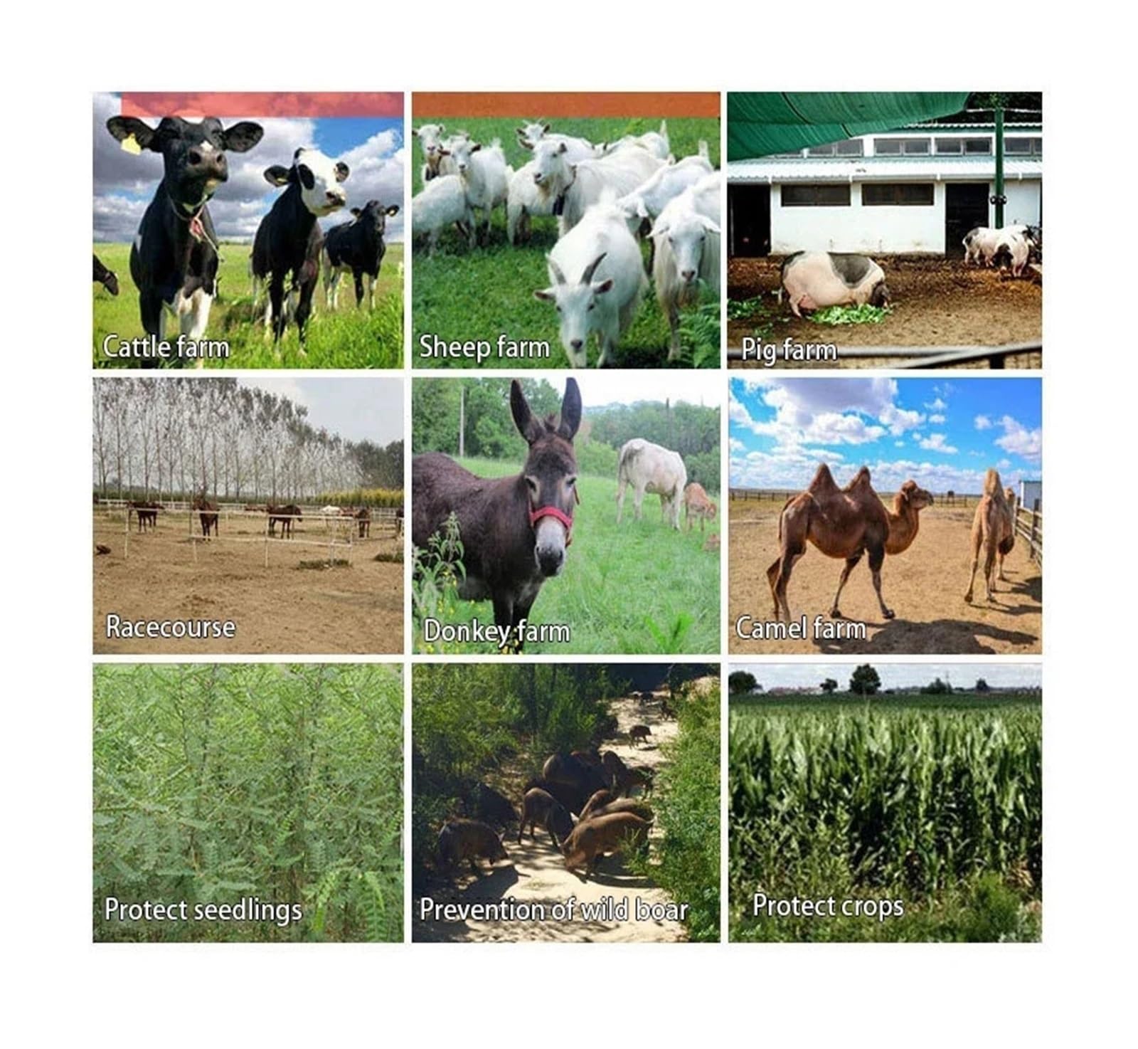 Ogrodzenie elektryczne, 10kM Animal Pulse Farm Elektryczny Ogrodzeniowy Dla Konia Świni Bydła Owcy Ognia Alarm Ochrona