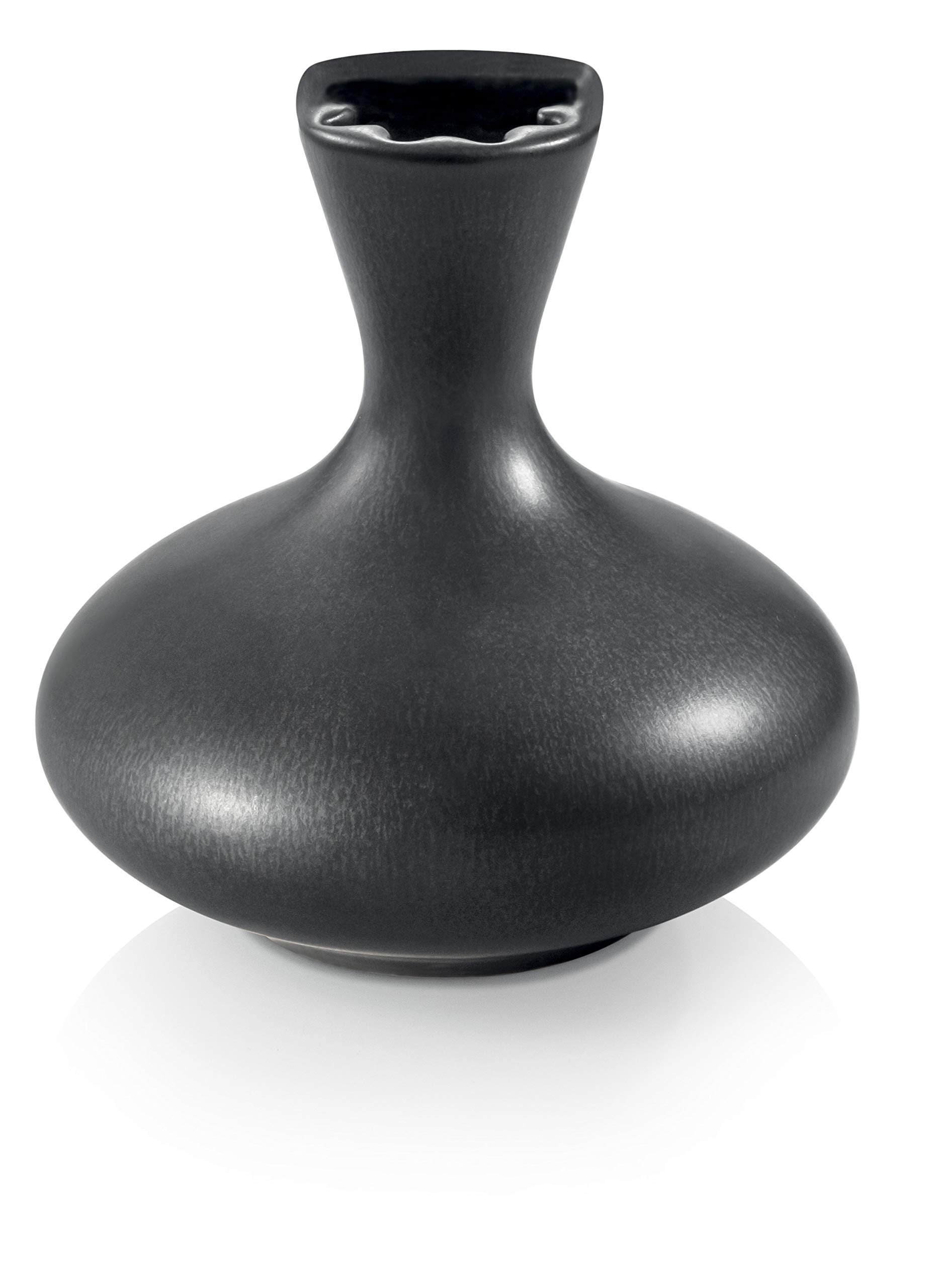 Tescoma 906650.44 Fancy Home Ceramic Essence Diffuser Oasis, Black