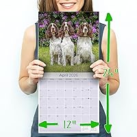 Vista 989 de Razas de Perros 2017