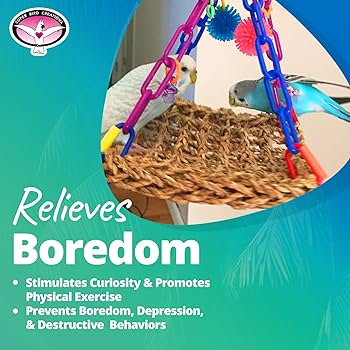 BIRD: TRANSIT for GIRLS 7冊セット BIRD: TRANSIT for GIRLS 7冊セット BIRD: TRANSIT for GIRLS 7