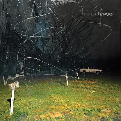 This Stupid World [Vinyl] Yo La Tengo por Yo La Tengo — capa do álbum