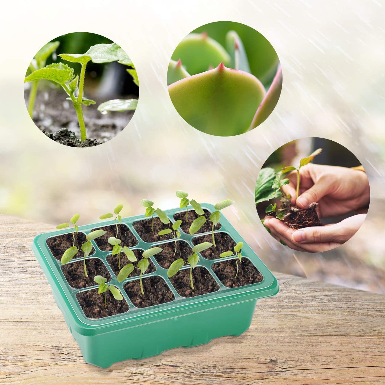 5 Piezas Semilleros de Germinacion Bandejas de Semillas con Luz de Mini Invernadero Pequeño Interior Cultivo Kit Invernadero Pequeño Regalos de Jardinería