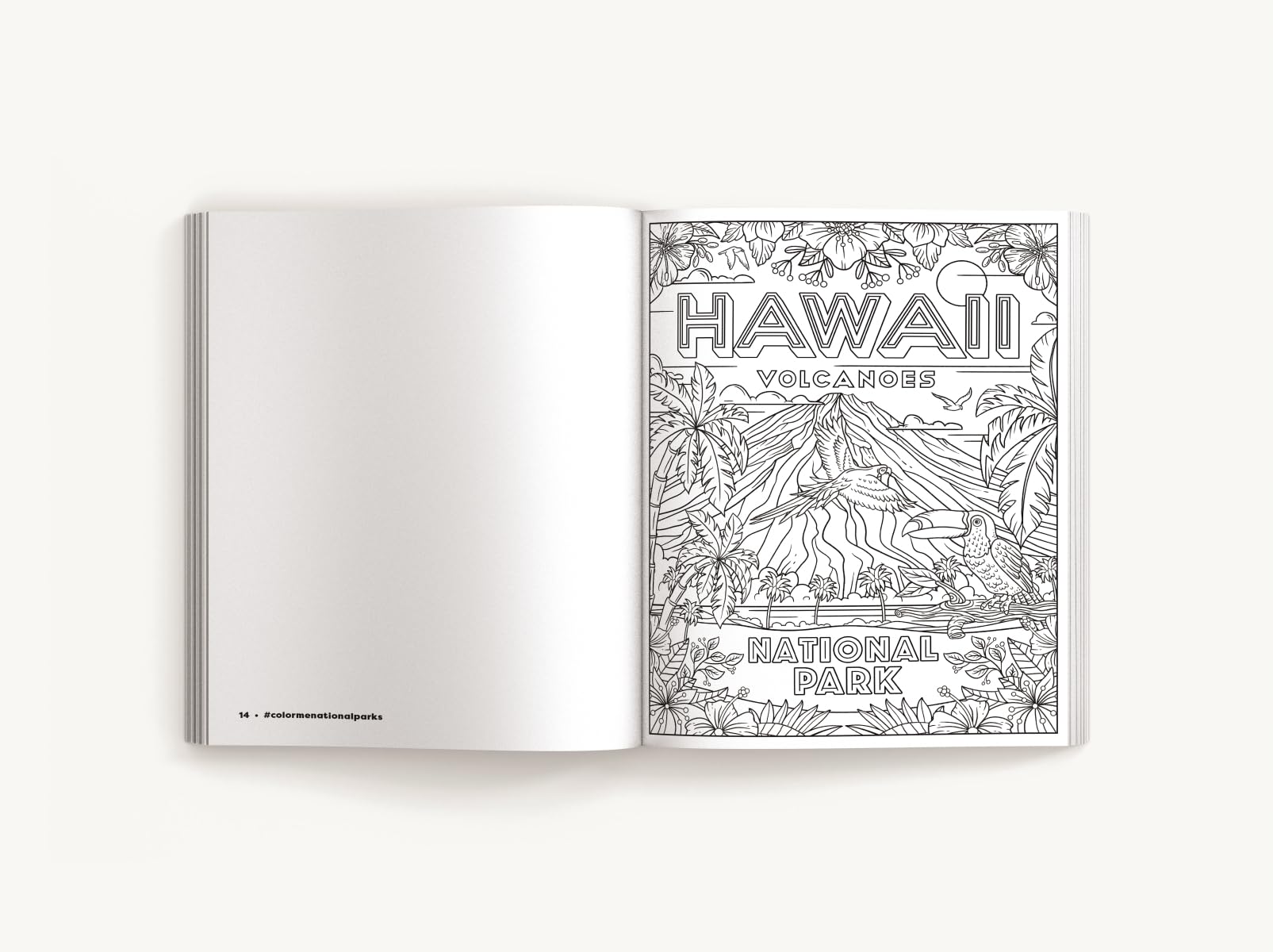 Color Me National Parks: An Adventurous Coloring Book (Color Me Coloring Books) - Image 4