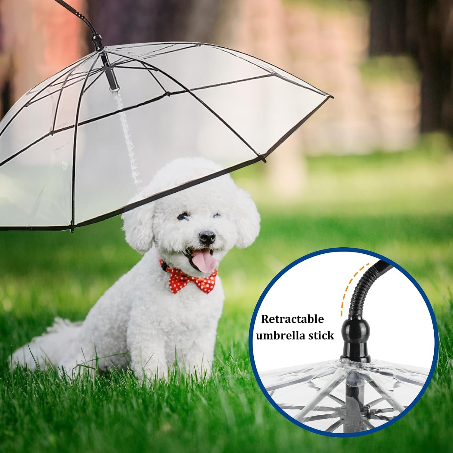 Pet Dog Transparent Umbrella, Clear Folding Adjustable Leash, Keeps Pet Dry in Rain (C Hook)