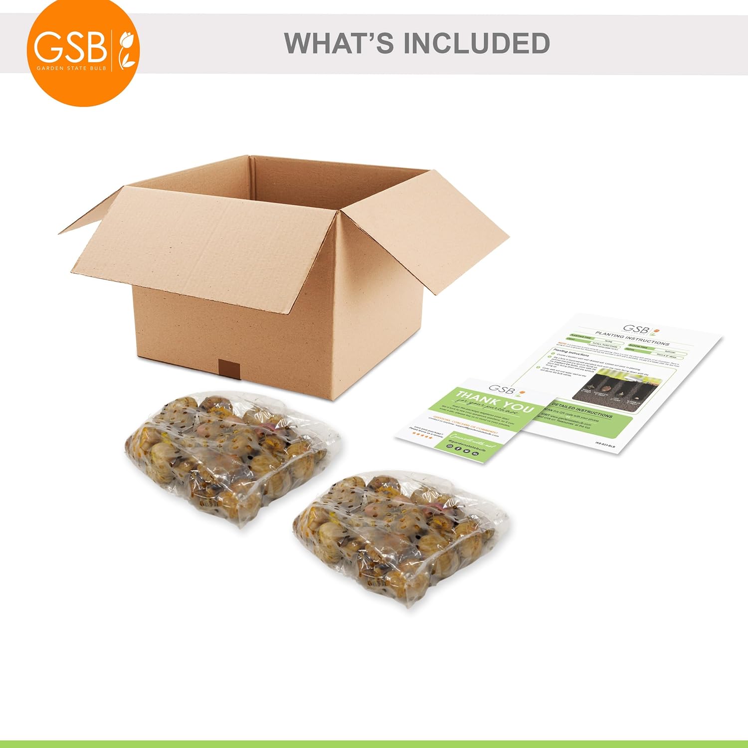 Garden State Bulb Olympic Flame Orange Gladiolus Flower Bulbs, 12/14cm, Spring Planting (Bag of 60)