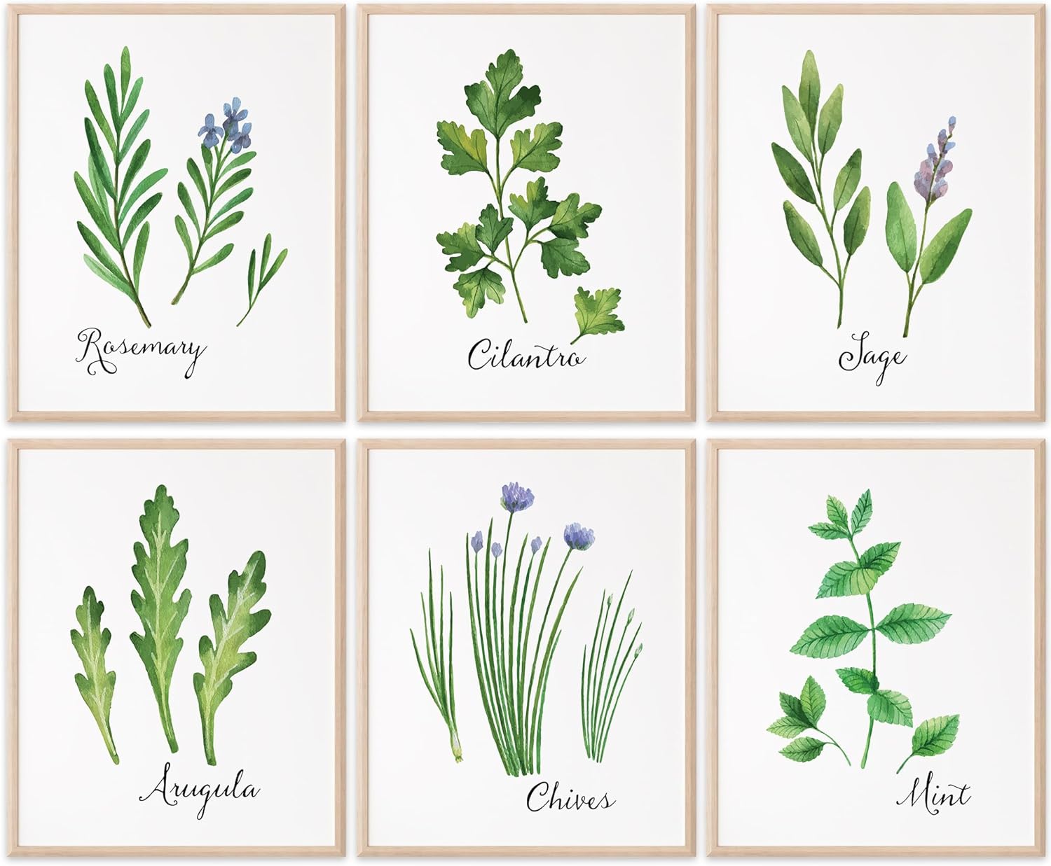 DREAM BIG PRINTABLES Kitchen Herbs Art Prints (Set of 6) - Unframed - 11x14 - Botanical Wall Art - Kitchen Wall Decor