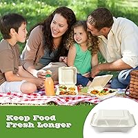 Vista 7 de Vplus Paquete de 300 Recipientes compostables para llevar con diseño de concha, de 20,3 x 20,3 cm, desechables y ecológicos, con 3 compartimentos