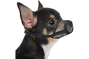 Mayerzon Small Dog Muzzle Stop Barking for Yorkshire Terrier