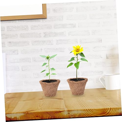 Miniatura 4 de NOLITOY 20 piezas de palmera de coco para cuarto de bebé, macetas de fibra de coco, bandeja de plantas de plantas, maceta de turba biodegradable,