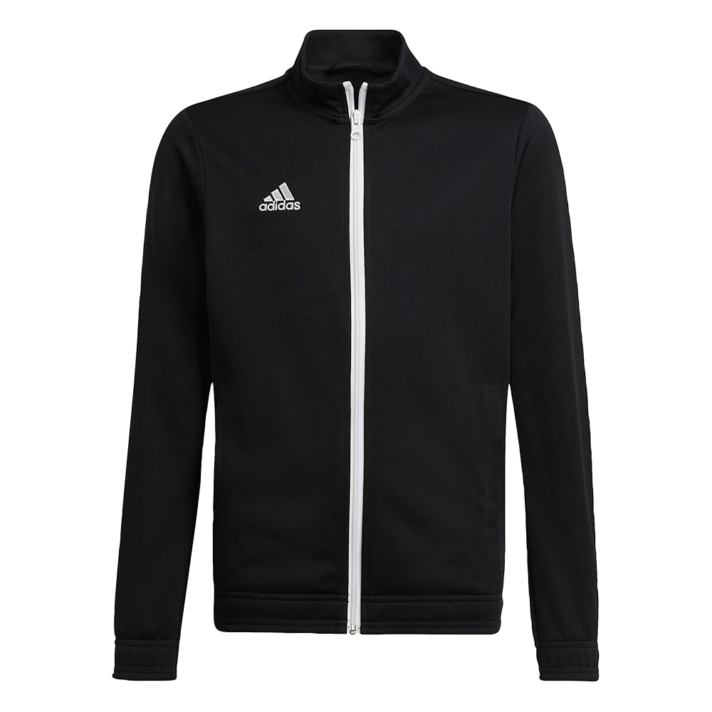 adidas entrada bambino