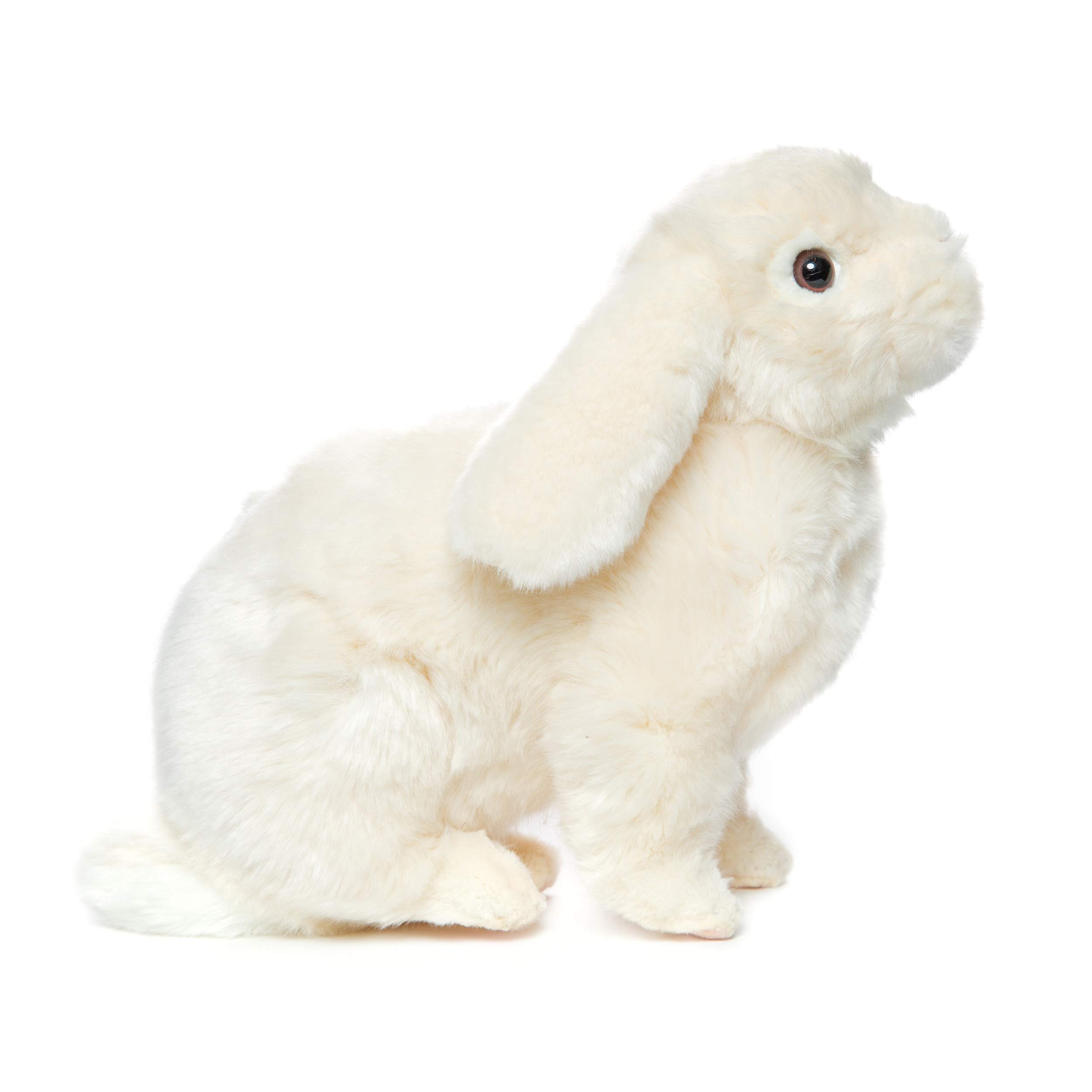 Amazon.co.jp: BH7024 HANSA ロップイヤーバニー 35 : おもちゃ