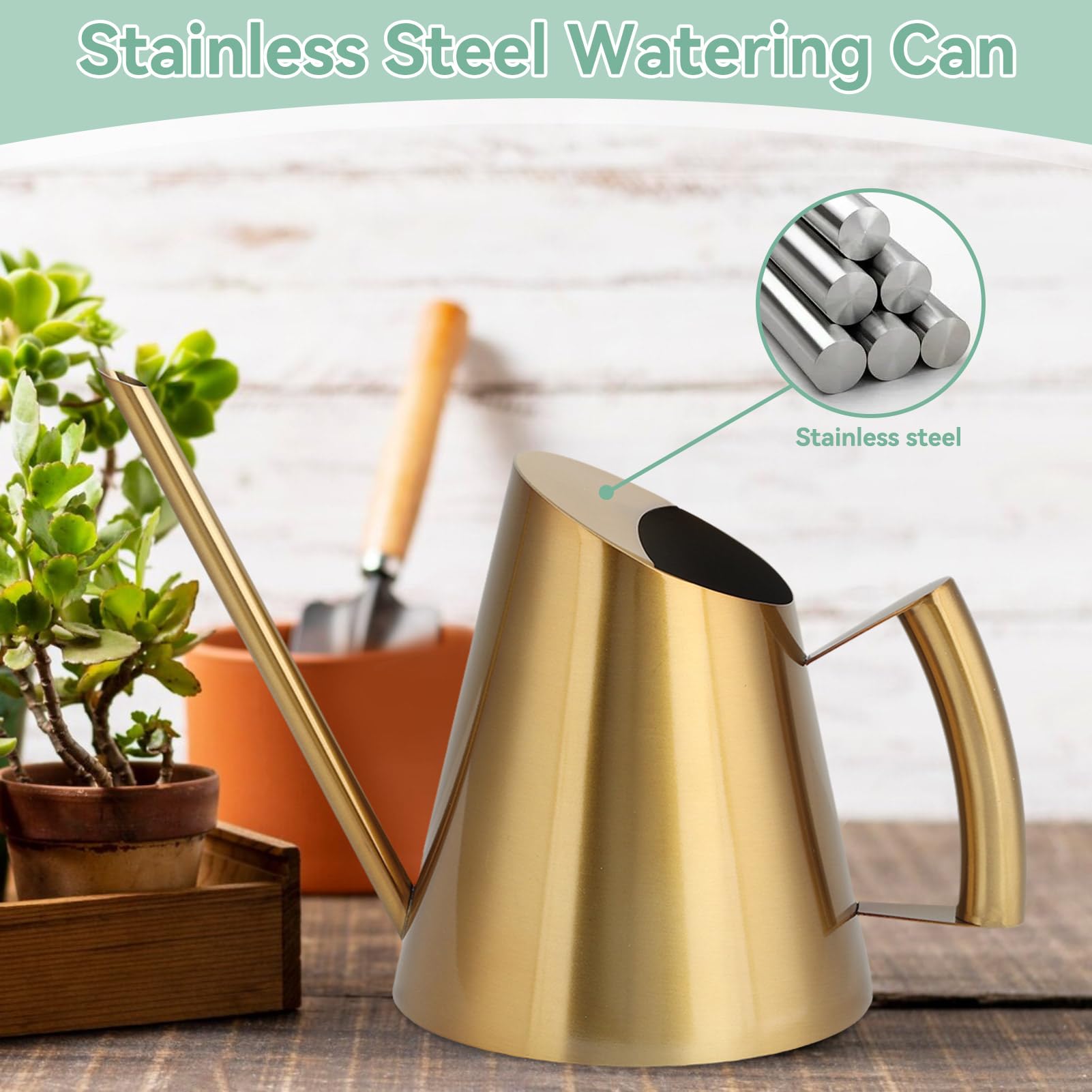 Watering Can for Indoor Plants, Metal Watering Can with Long Spout Stainless Steel Watering Cans for House Plants Small Watering Can for Succulent Bonsai Garden Flower(M)