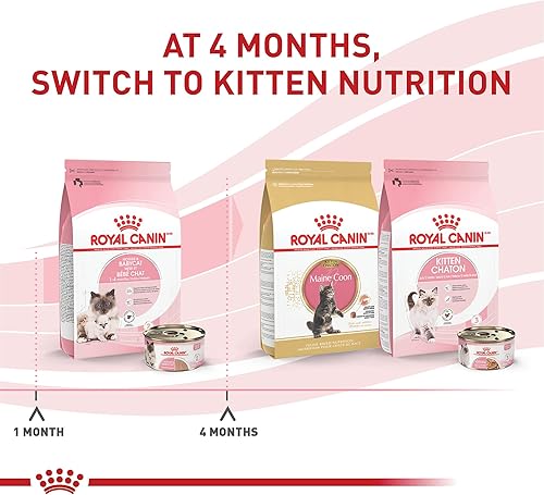 Miniatura 2 de Royal Canin Feline Health Nutrition - Mousse ultra suave en salsa comida enlatada para gatos