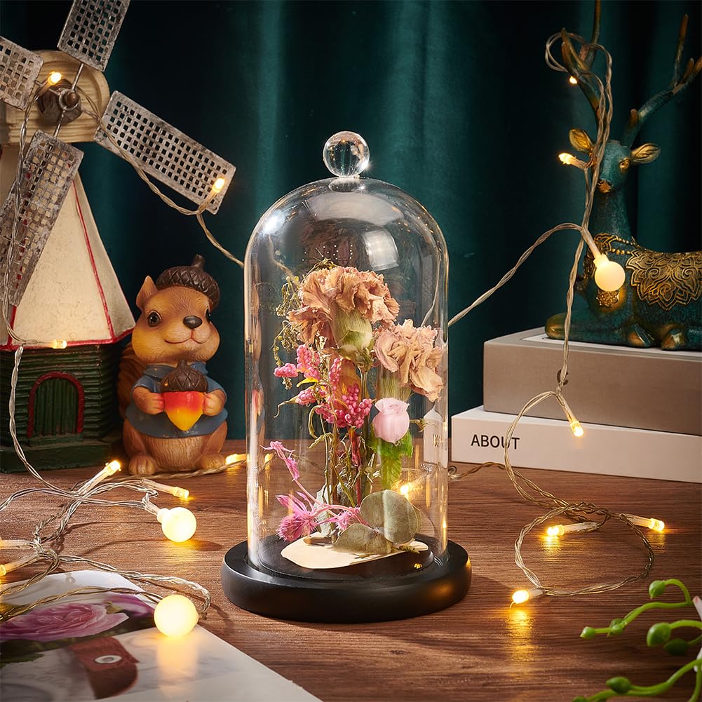 PH PandaHall Vetro Cupola Cloche Campana di vetro Display Case