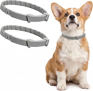 2 Stk. Zecken- und Flohschutz-Halsband für Hunde, Grau, Wasserfest, Langanhaltender Schutz bis zu 8 Monate, Passt zu Hunden aller Größen, Ideal für Außenaktivitäten, Zeckenhalsband