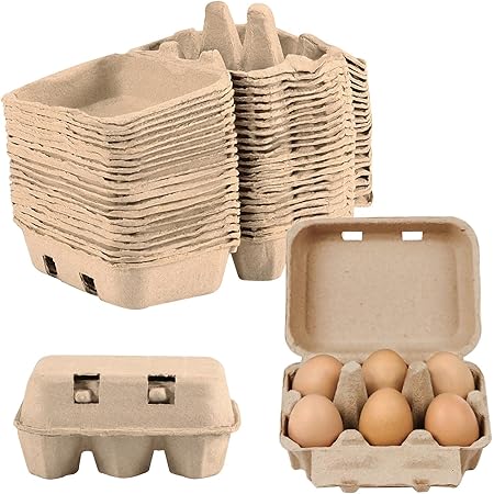 Blank 12-Egg Flat Top Style Paper-Pulp Compostable Egg Carton - View #6