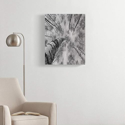 Miniatura 2 de Kits de pintura de diamantes 5D para bricolaje, naturaleza azul, árboles, cielo, negro, blanco, bosque de Rusia, pintura, manualidades, lienzo para