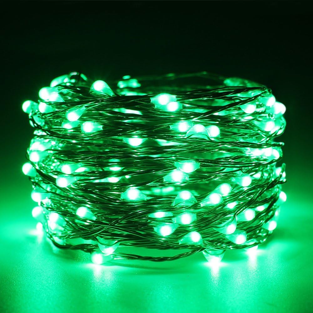ER CHEN Dimmable LED String Lights Plug In, 33ft 100 LED Waterproof Green Color Fairy Lights with Remote, Indoor/Outdoor Copper Wire Christmas Decorative Lights for Bedroom, Patio, Garden, Yard, Party