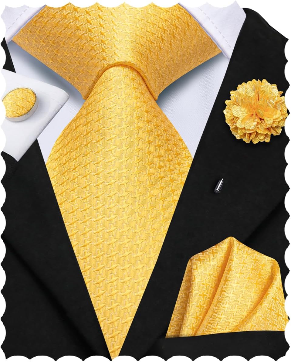 Hi-Tie Mens Paisley Floral Striped Ties Set Silk Necktie and Lapel Pin for Men Pocket Square Cufflinks Set Business Wedding