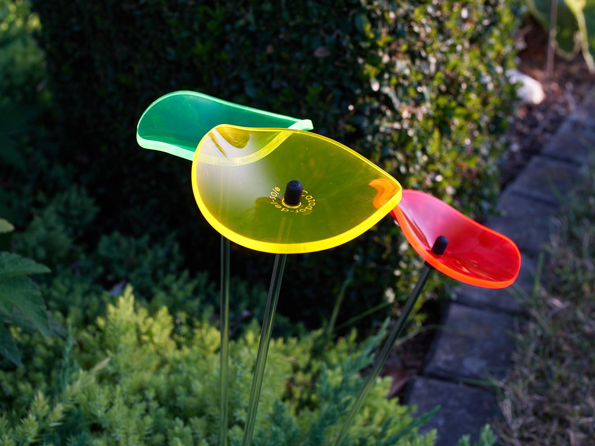 cazador-del-sol | Lucille - Rainbow | Set di 6 dischi ondulati - Lunghezza 17''