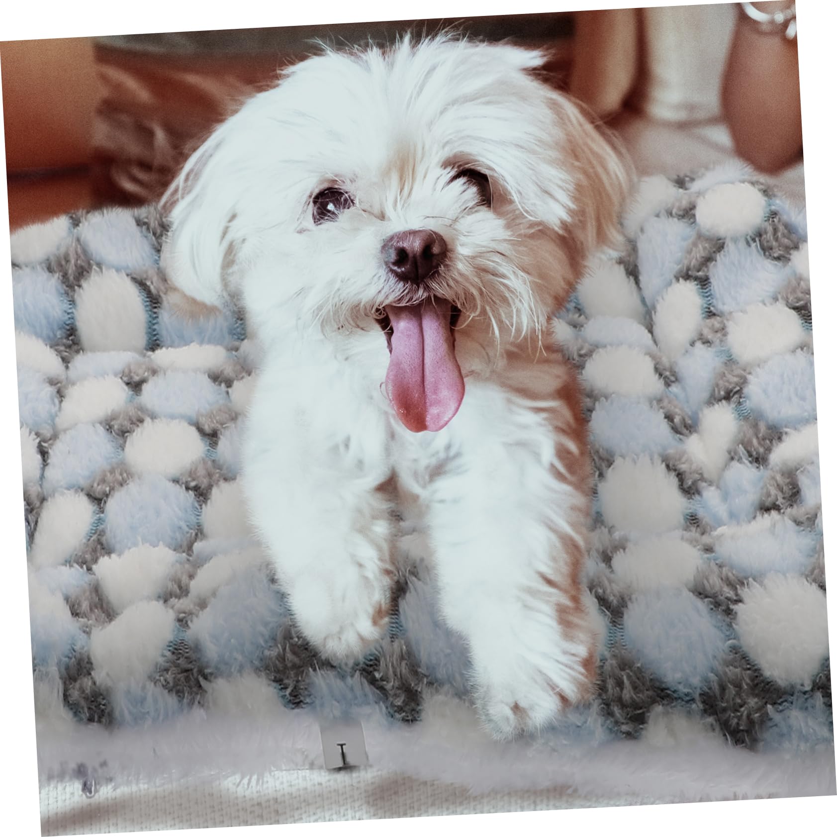 Toddmomy 2Pcs Autumn Winter Pet Mat Comfortable Sleeping Pads for Dogs and Cats Soft Floor Cushions for Crates Sofas and Car for Indoor and Outdoor Use Design