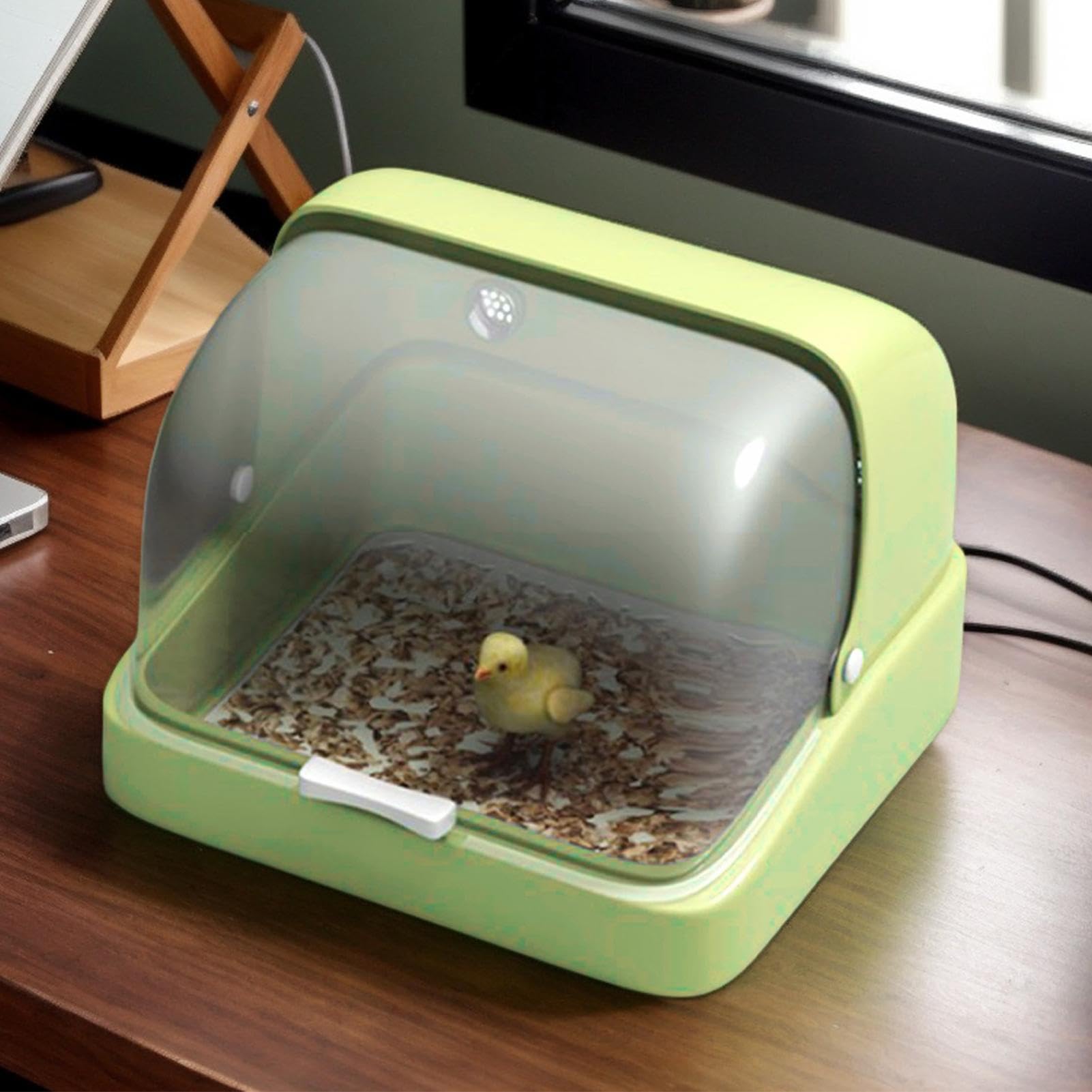 Criadora Para Pollitos Bebés térmico ajustable 3 temperaturas | Criadora Pollitos Suministros para hábitat de aves: loros jóvenes, patitos, pollitos, pequeñas mascotas, cuidado de cría y
