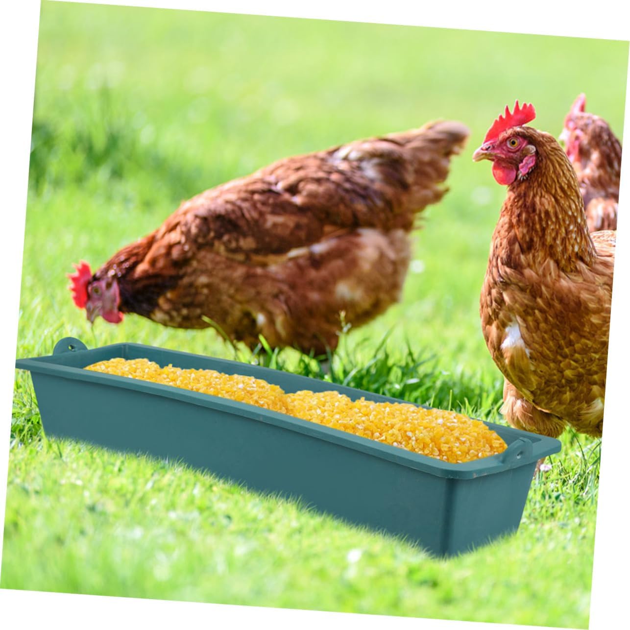 BESPORTBLE 6pcs Farm Feeding Troughs for Chickens and Livestock Versatile Automatic Feeder Capacity Efficient Utilization and Easy to Clean