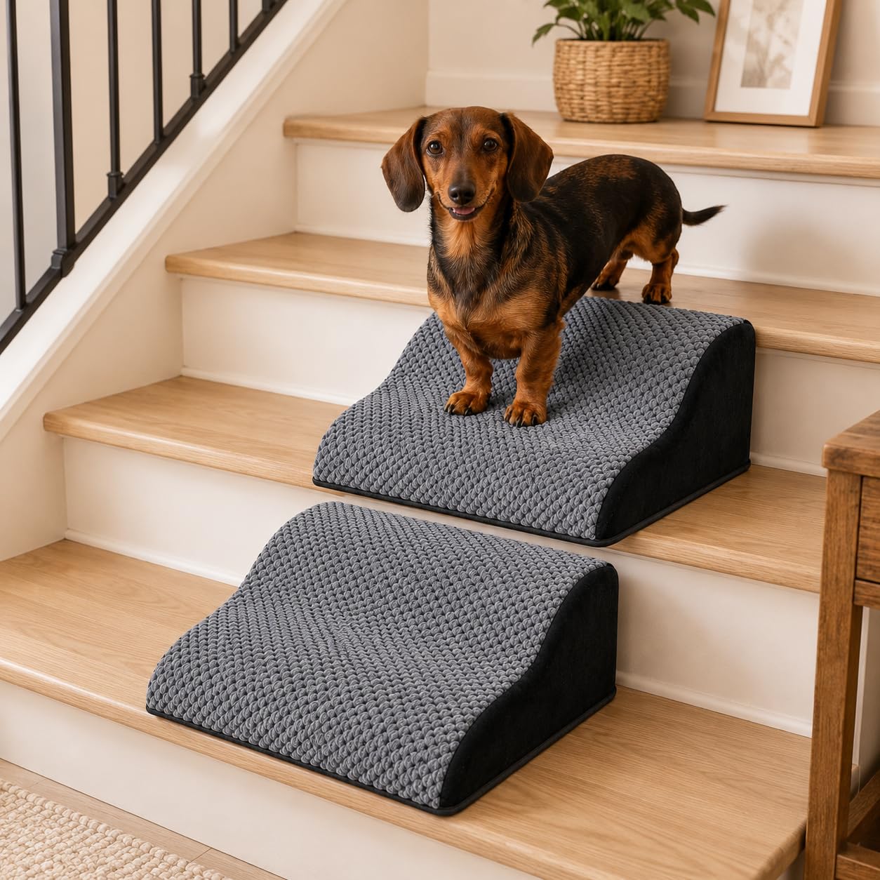 Amazon.co.jp: NRYDEPET 犬用スロープ 階段用 2個パック 今すぐお試し