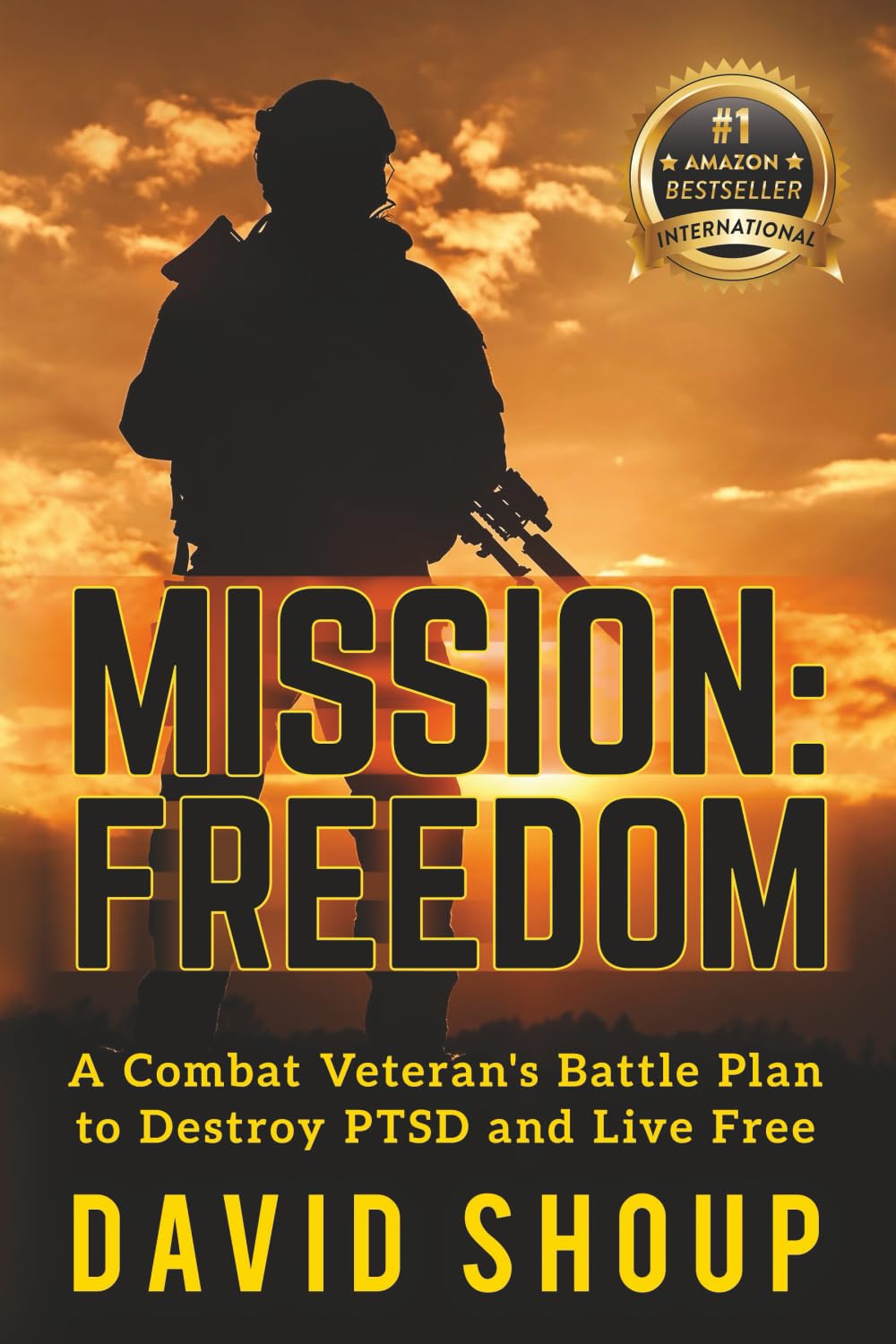Mission: Freedom: A Combat Veteran's Battle Plan to Destroy PTSD and Live Free