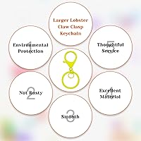 Vista 31 de 30Pcs Lobster Claw Clasps Keychain for Jewelry Making,Metal Lobster Clasp Swivel Trigger Clips with Jump Rings Flat Split Keychain Ring for DIY