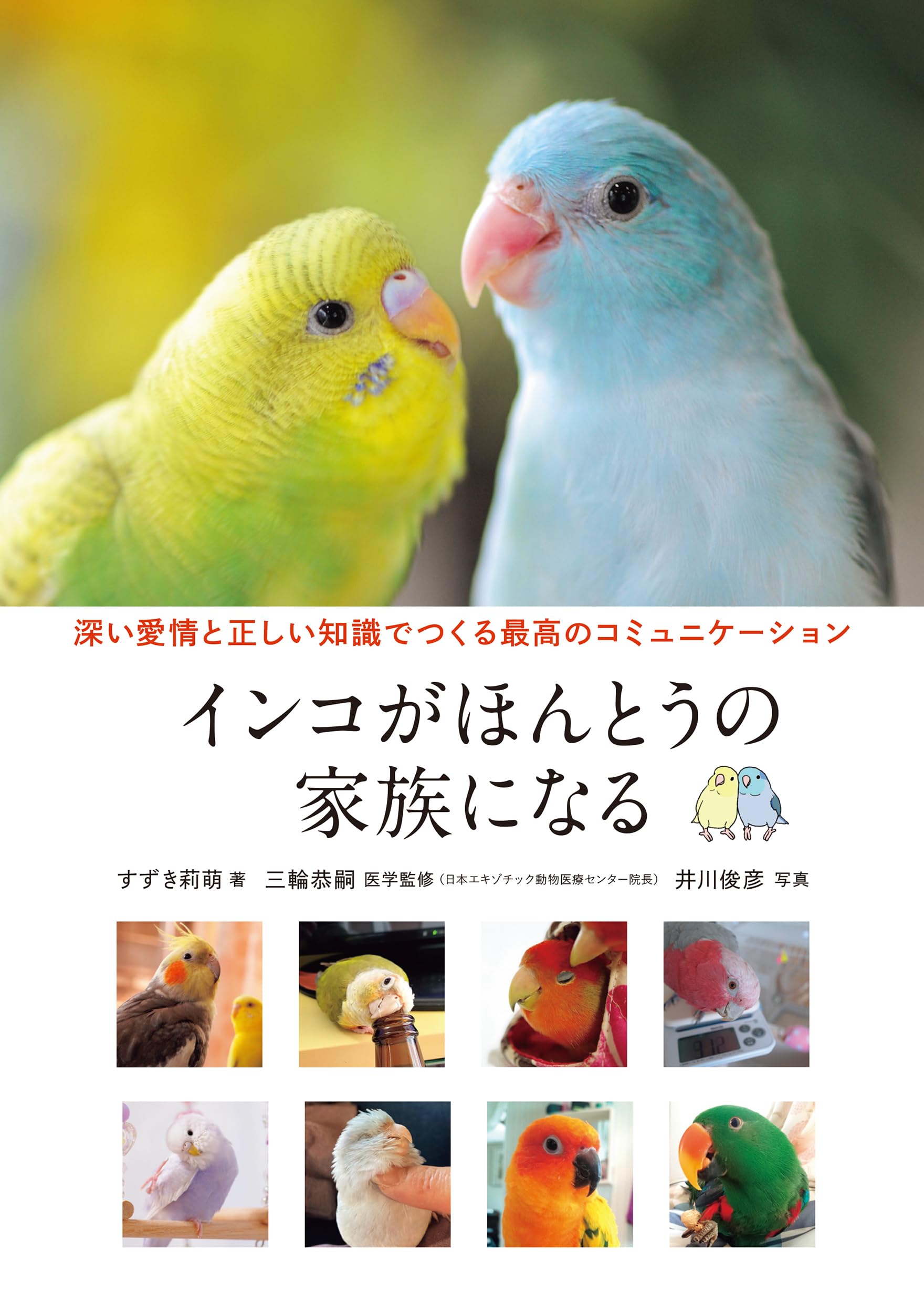 インコがほんとうの家族になる: 深い愛情と正しい知識でつくる最高の