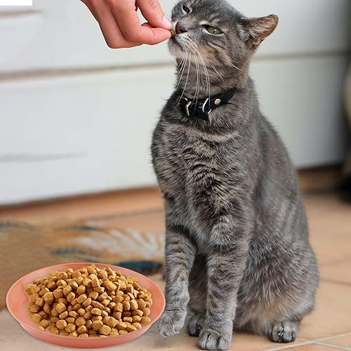 Miniatura 7 de 8 cuencos de comida para gatos, cuencos de 6 pulgadas para comida y agua, paja de trigo, platos anchos poco profundos para gatos, coloridos gatitos,