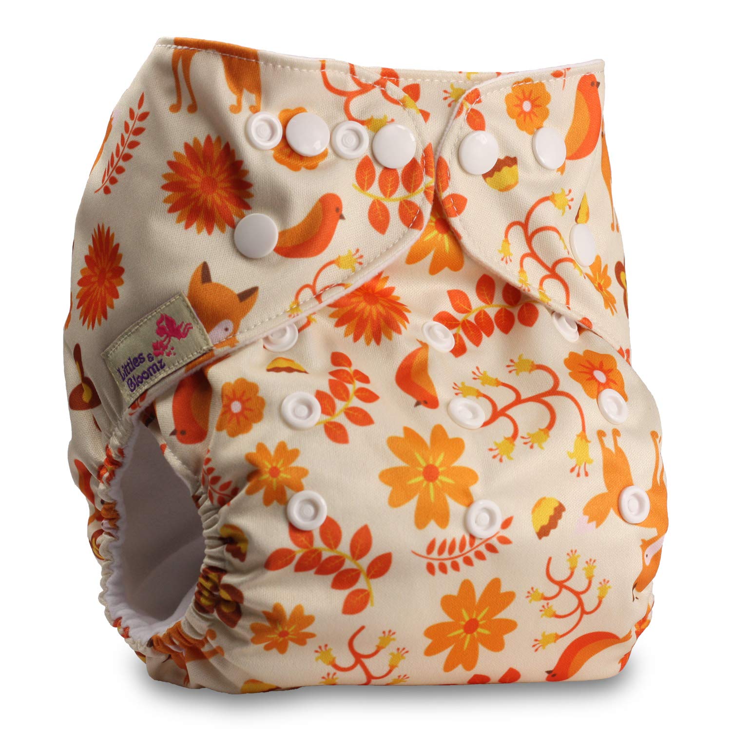 Littles & Bloomz, Reusable Pocket Cloth Nappy, Fastener: Popper, Set of 1, Pattern 104, Without Insert