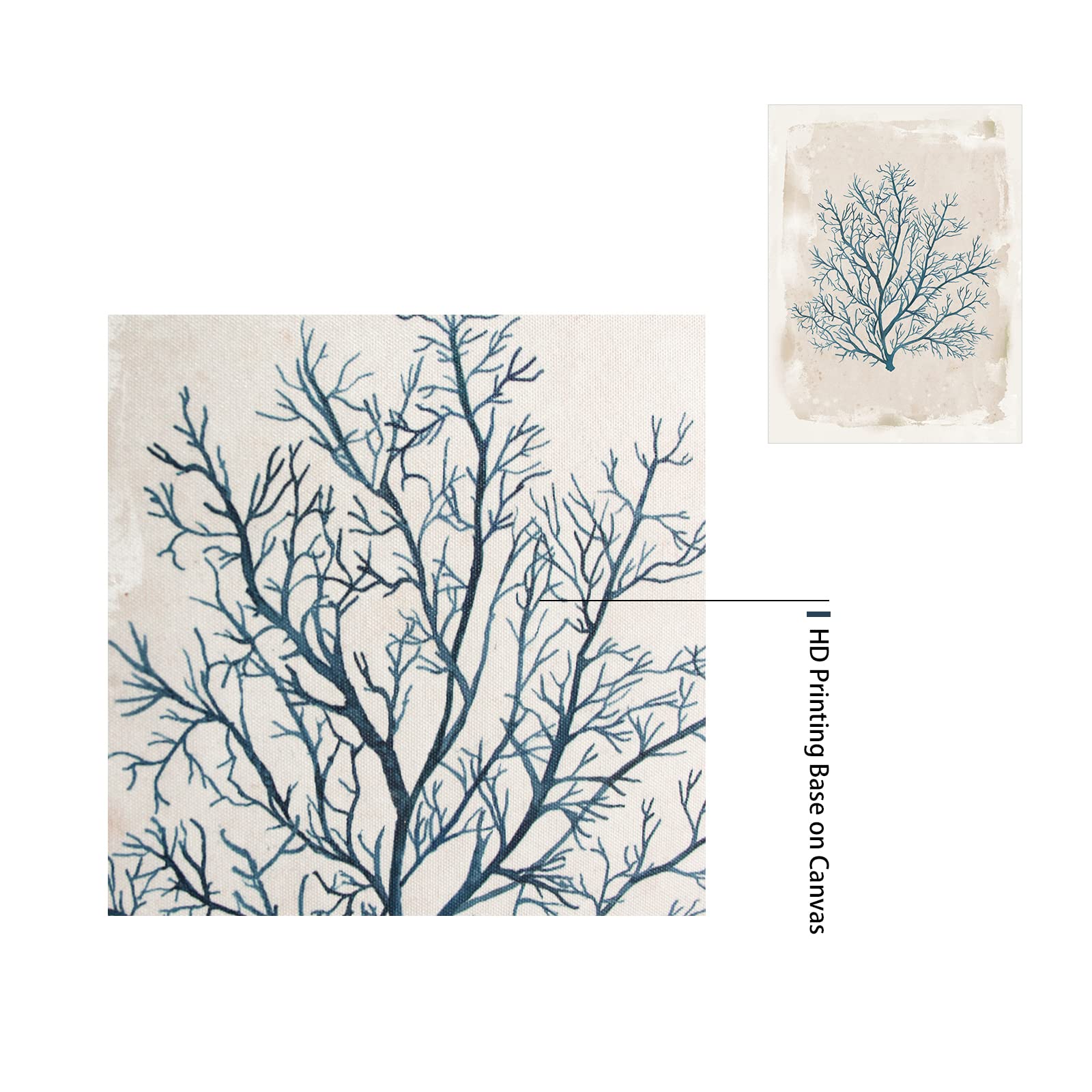 Zessonic Coastal Wall Art Set For Bathroom - Dingo Blue Coral On Beige Background Artwork Print For Nautical, Ocean Theme Wall Decor, 12" x 16" x 3