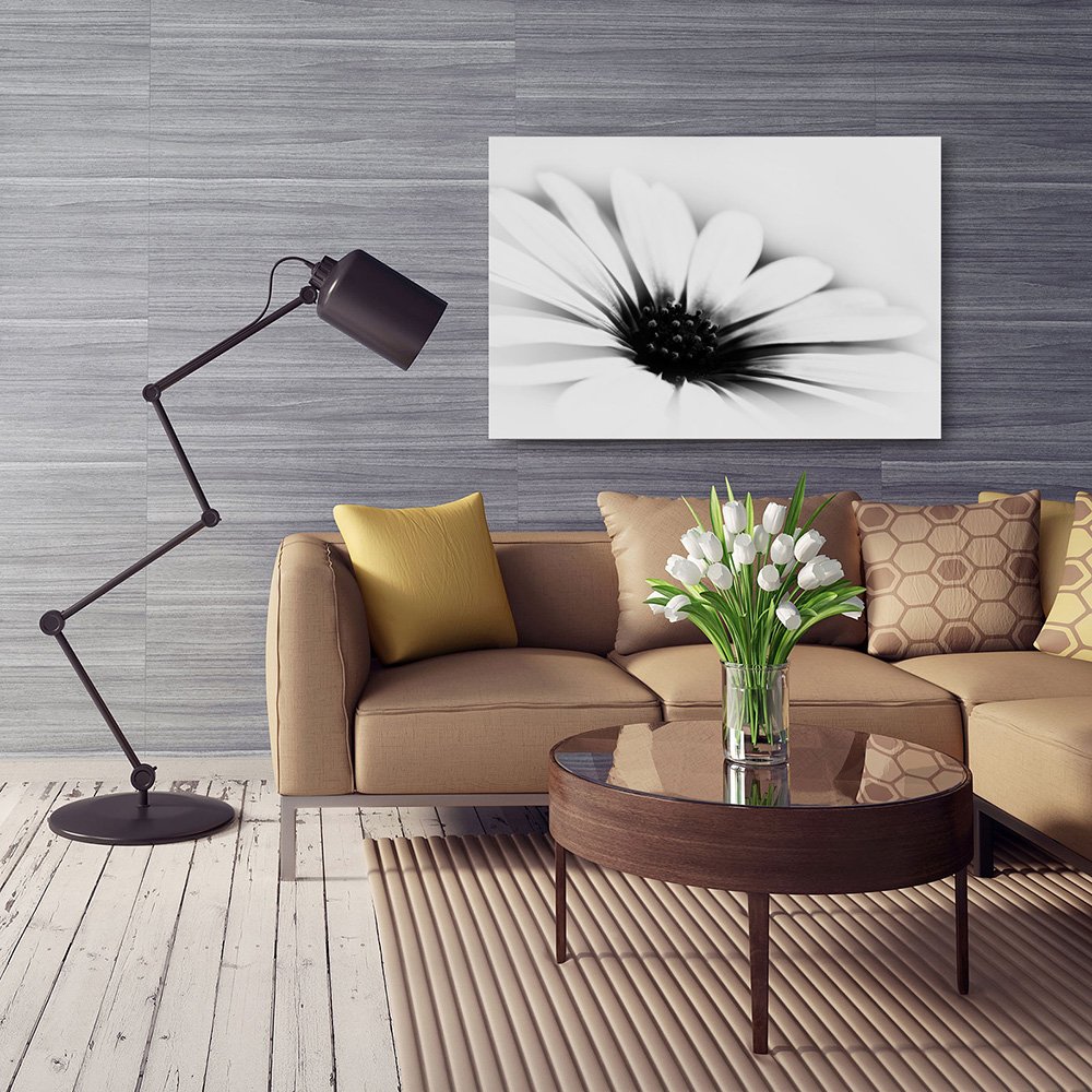 Feeby. Cuadro en Lienzo - 1 Parte - 50x70 cm, Imagen impresión Pintura decoración Cuadros de una Pieza, Margarita, Flor, Naturaleza, Blanco Y Negro