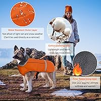 Vista 4 de QBLEEV Abrigo cálido para perro, chaqueta reflectante para perro, abrigo de invierno impermeable para perro, cuello alto, ropa de perro para clima