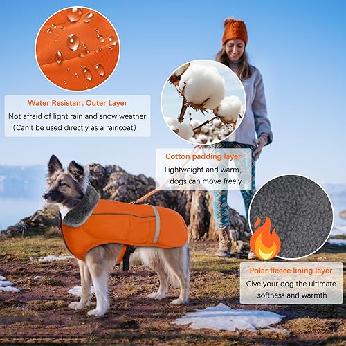 Miniatura 4 de QBLEEV Abrigo cálido para perro, chaqueta reflectante para perro, abrigo de invierno impermeable para perro, cuello alto, ropa de perro para clima