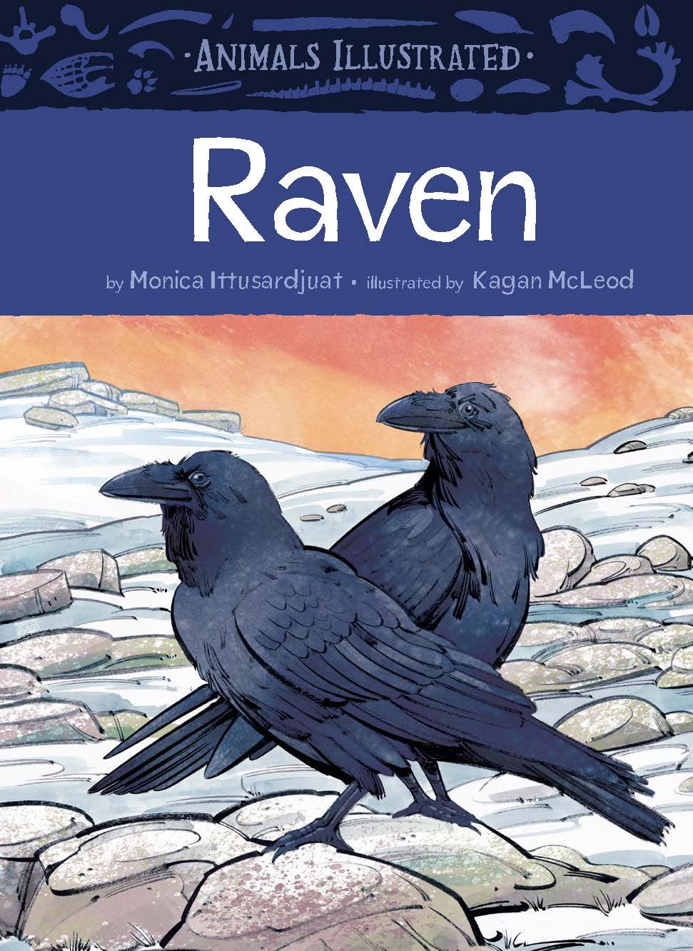 Animals Illustrated: Raven (Animals Illustrated, 11)