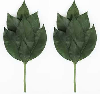 榊鬼面 Amazon｜[A&K]暑さでも腐らない廉価版 榊SS 国産天然榊 椿生葉使用 暑