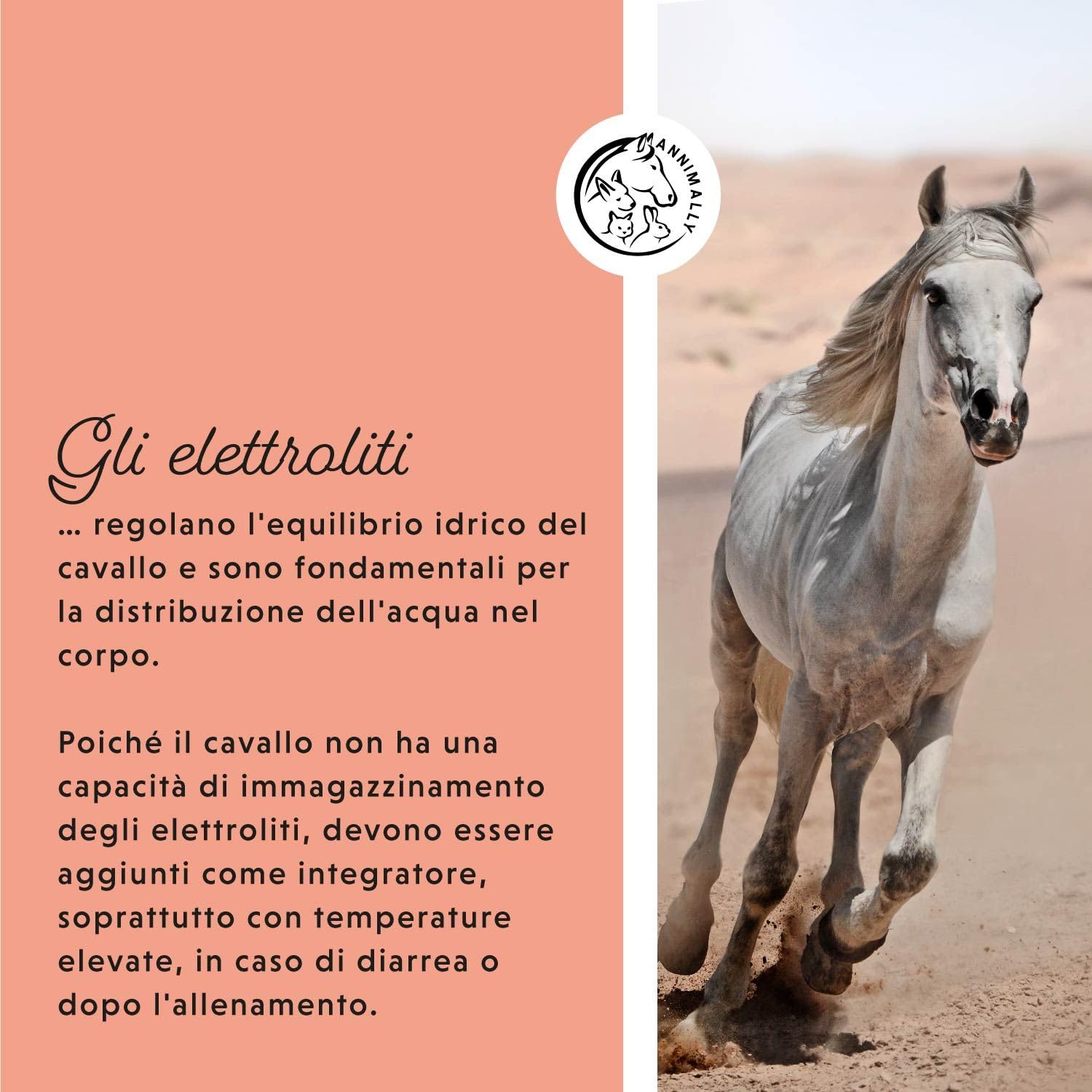 Elettroliti Liquidi per Cavalli 1000ml con sodio, potassio, acerola, calcio, magnesio e Vitamina B liquida - Elettroliti Liquidi senza zuccheri aggiunti - Elettroliti integratore Cavalli