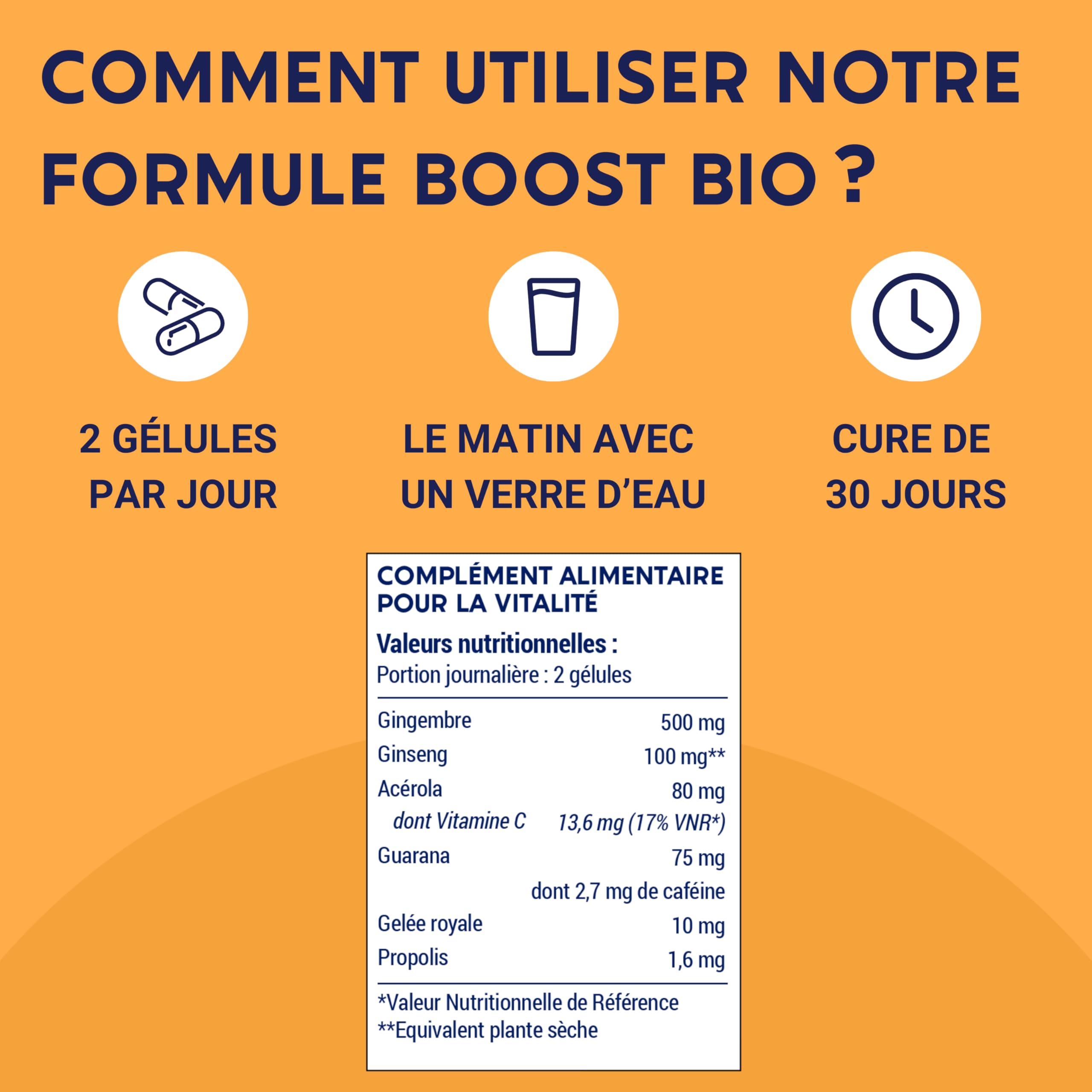 FORMULE BOOST BIO | 4G : Ginseng, Gelée royale, Guarana, Gingembre + Acérola | Complement Alimentaire Anti-Fatigue | Immunité et Energie | Fabriqué en France