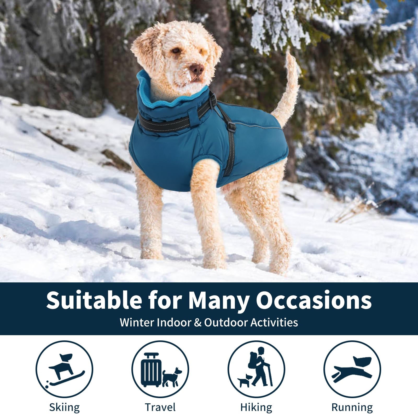 Geen Pull Lederen Harnas Hond Warme Fleece Gewatte... – Grandado Geen Pull Lederen Harnas Hond Warme Fleece Gewatte... – Grandado