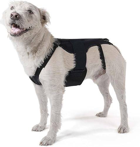 Animal Ortho Care Haute L'il Back Bracer - con calentadores de calor calmantes, soporte ortopédico de espalda para perros con artritis, soporte disponible en Yaxa Colombia