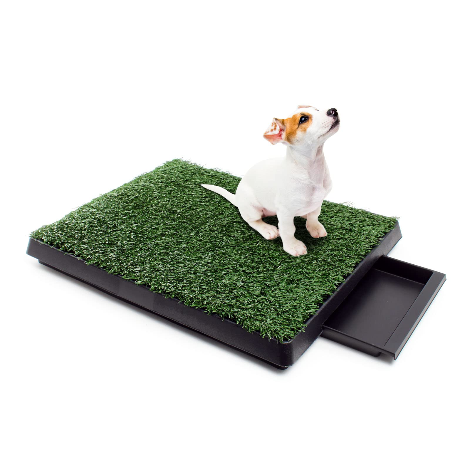 Fudajo Toilette per Cani 63x51 cm Lettiera con Erba Sintetica per addestramento di Cani e Cuccioli