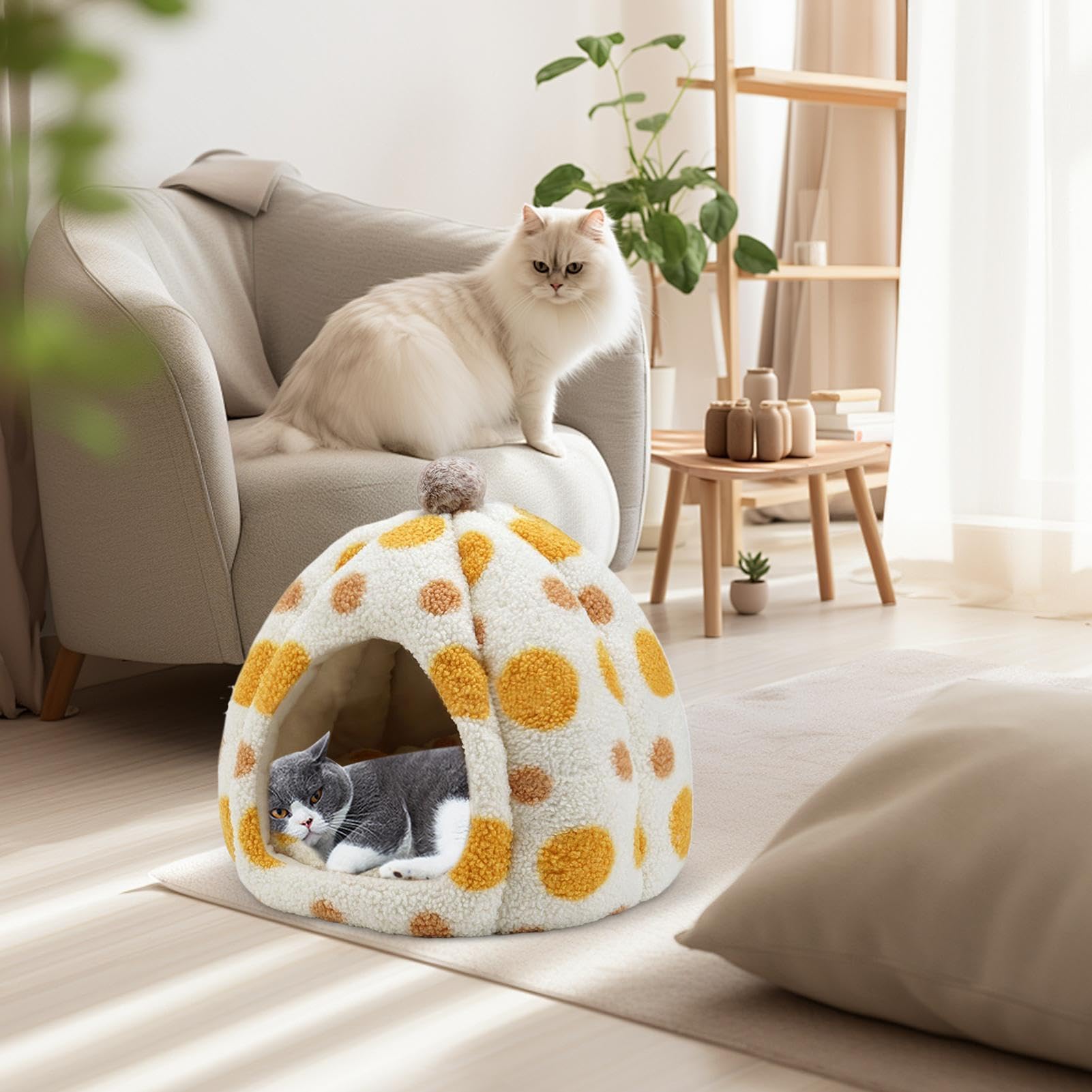 Cuccia Per Gatti Forma a Cupola Impermeabile al Freddo e Riscaldata