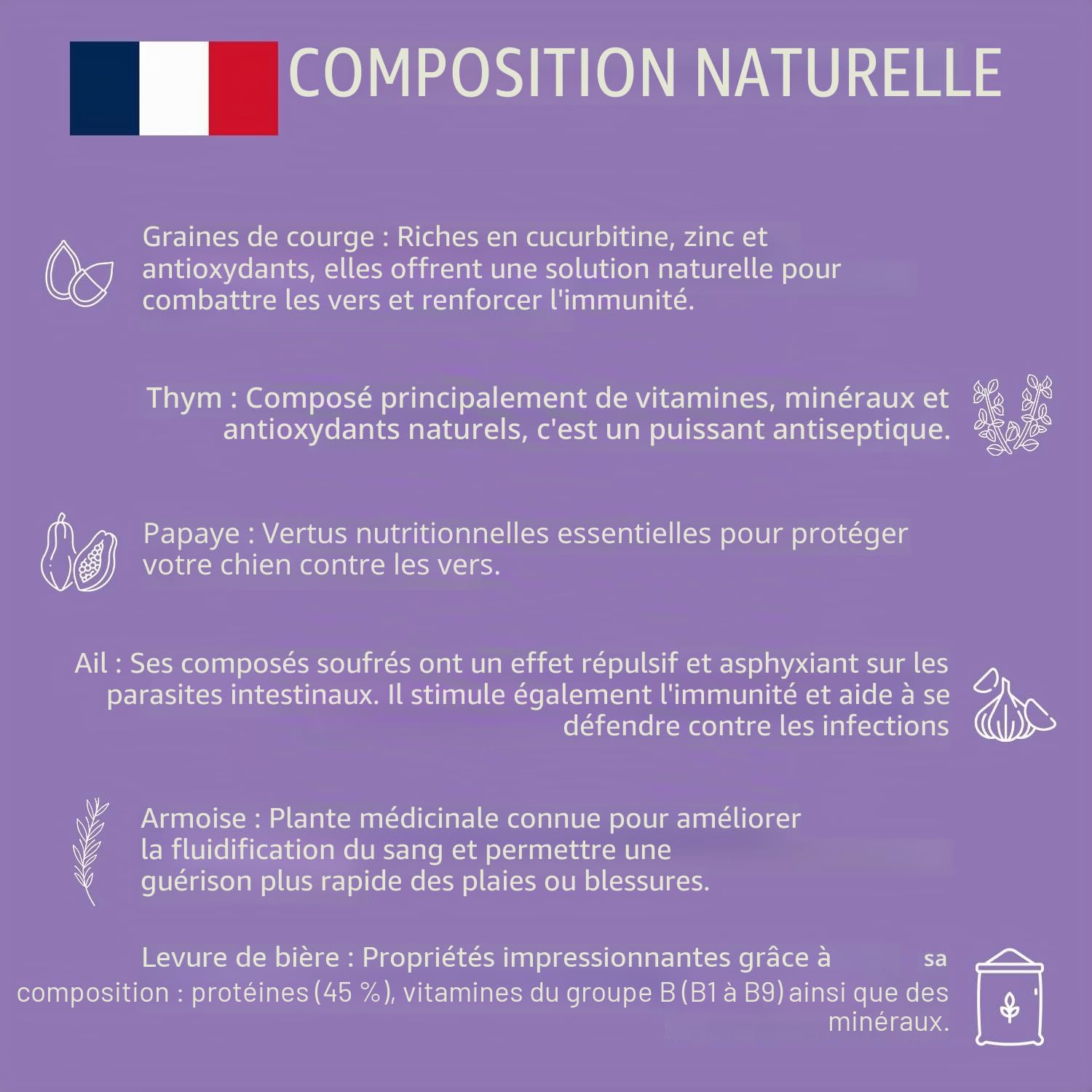 NEOVETO - Vermipurge - Vermifuge pour Chien en comprimés naturels - Actifs agréés par Les Services Vétérinaires Français - Fabriqué en France - Facile à administrer - 30 comprimés (Version espagnole)