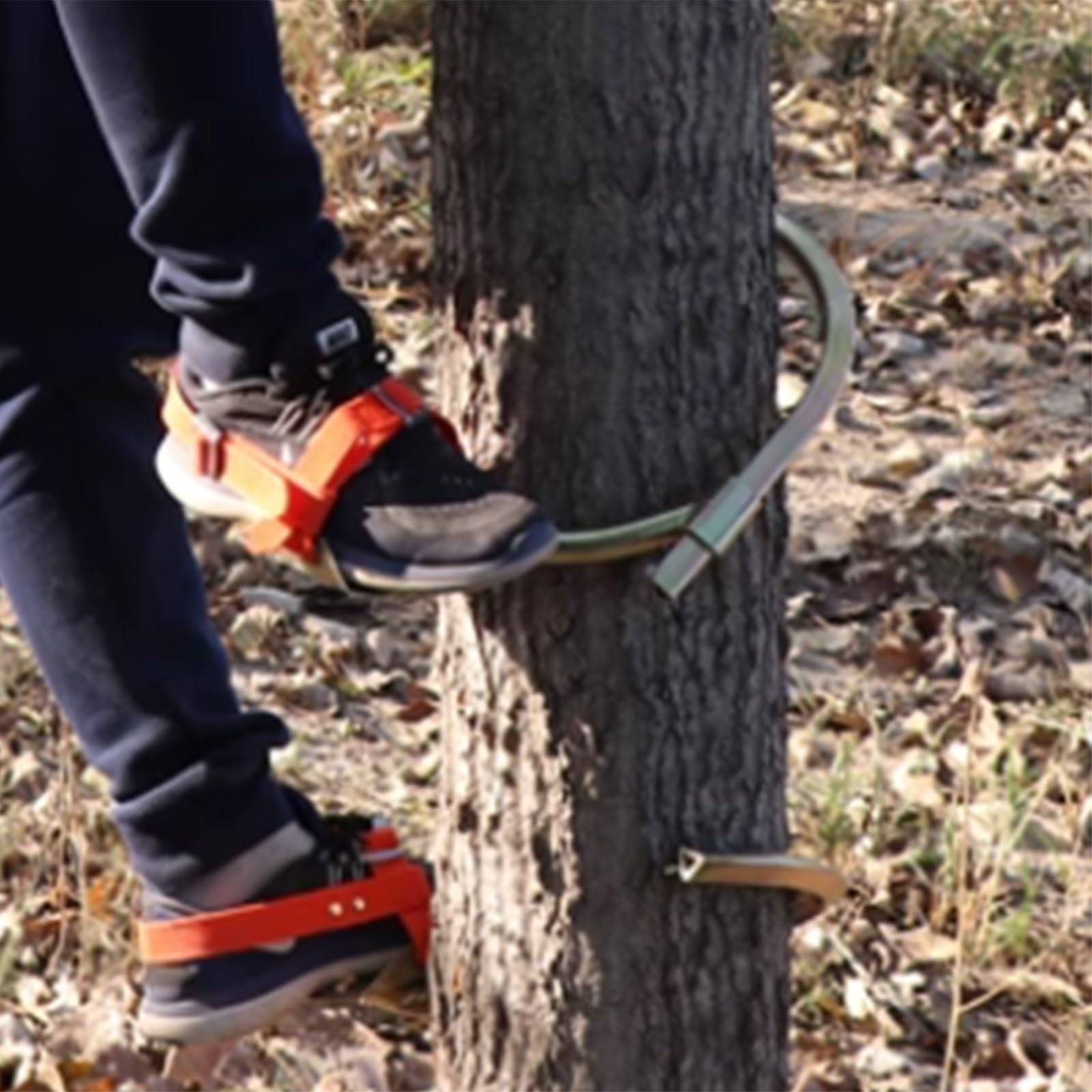 Picos para trepar árboles con Correas para los pies, trepadores de árboles Antideslizantes, Kits de trepadores de Electricista y de jardín Ajustables para Trabajos en árboles (250 mm).